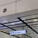 거문오름 오디하우스 | 주또감 (주인장 또 감귤국.) 1탄