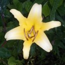 나리 민박 이미지