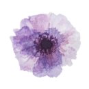 붓으로 배우는 캘리그라피 이미지