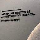 24시 코끼리동물의료센터 이미지