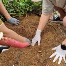 장연농장 이미지