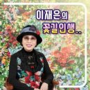 이재은 / 꽃길 인생 (원key F) mr 이미지