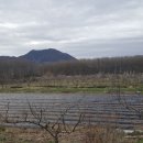 전길농장 이미지