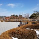 무궁화공원 이미지