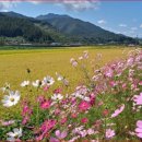 가을찻집 이미지