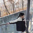 북서울꿈의숲(아트센터지상1층) | 9살 아이와 과학마술콘서트 공연 관람 후기