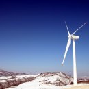 영하목장 이미지