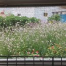 탁트인민박 이미지