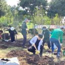 방일리공원 이미지