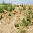 권율대로 이미지