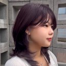 화선이벤트 네이버블로그