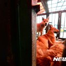 황구건강원 이미지