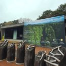 건강나라 | 제주도 서귀포 치유의숲 여유로운 산책길 : 노고록 무장애 숲길, 걷기좋은길! 또 가고싶은 제주여행...