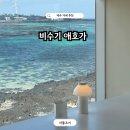 구좌 해안도로 | 제주 구좌 카페추천 비수기애호가 당근주스 맛집 내돈내산 후기