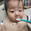 (주)비비비 이미지