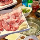 백돈 이미지