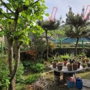 명곡동671 이미지