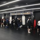 팀 해명 짐 이미지