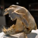 회룡한의원 이미지