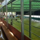 포동마을 이미지