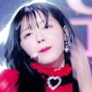 조화그룹 Daum카페