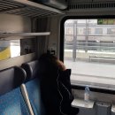 로미하우스 민박 이미지