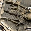 위너스빌 이미지