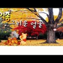 비타민님신청곡) 그리운 얼굴 - 유익종 이미지