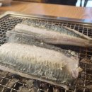 황토장어 이미지