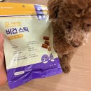 저스트벳 동물병원 | 포코벳 비건스틱 동물병원 강아지간식 처방식 후기, 노견도 잘 먹는 간식