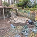 팜풀빌라 | [제주/서귀포] 가성비 제주 서귀포 숙소 후기, 바베큐 불멍 내돈내산 솔직후기 *팜밸리 풀빌라*