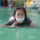 대장경오토캠핑장 이미지