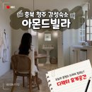 아몬드빌라 | 충북 청주 여자 혼자 감성숙소 아몬드빌라 4B 객실 후기