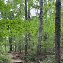 나막골약수터 이미지