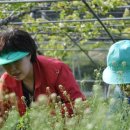 박상민농장 이미지