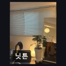 닛튼 | [종로 반지공방] 닛튼 초보도 쉽게 만드는 특별한 반지