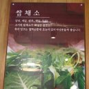 호탄식육식당 이미지