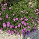 지리산하늘펜션 이미지