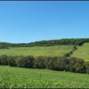 강국농장 이미지