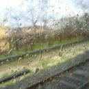 재스민향기 이미지