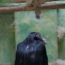 고집불통 이미지