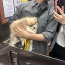 방배천로34길 47 | 따끈따끈한 백수일기