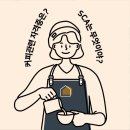 바리스타에게 배우는 커피 이미지