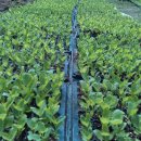 진안슈퍼 이미지