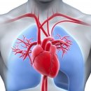 광진헬스 이미지