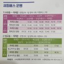 새보성식당 | [보성다향대축제 2025] 가족과 나들이 가기 좋은 봄 축제 다녀온 후기