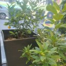 신내역공인중개사사무소 이미지