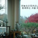 하늘오카리나