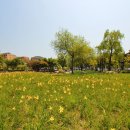 동춘당공원 이미지