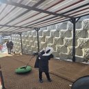 용인대 신안키즈태권도장 이미지